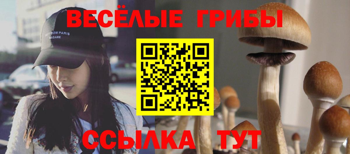 Псилоцибиновые грибы мицелий  Вход с VPN  Нижневартовск 