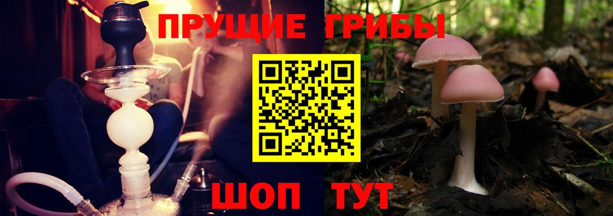 Псилоцибиновые грибы ЛСД Нижневартовск